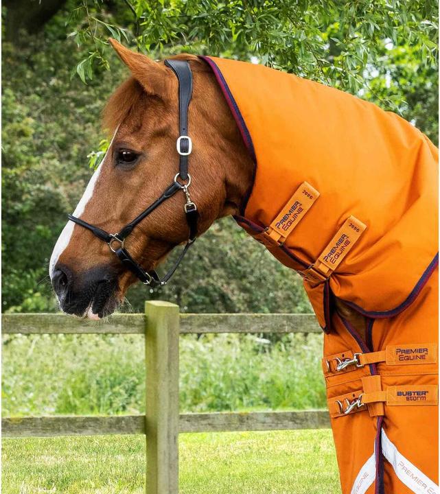 Immagine prodotto Premier Equine Buster Combo 200g (168 cm)
