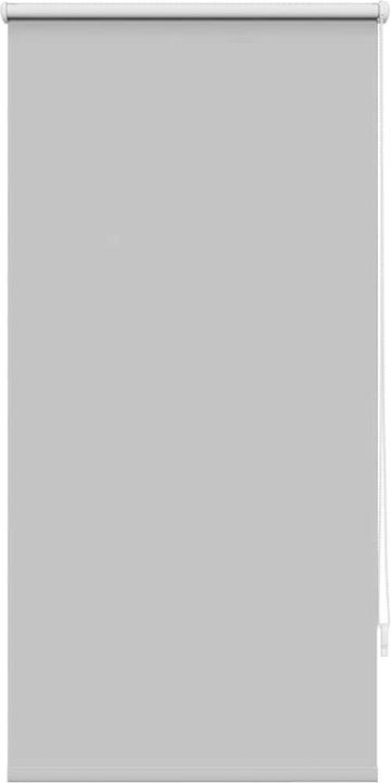 Gris