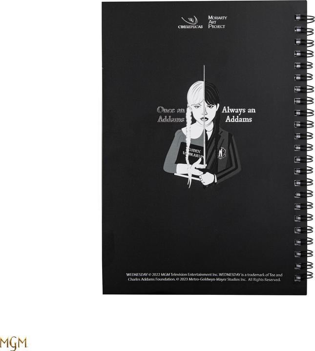 Immagine prodotto Cinereplicas Taccuino del mercoledì con il violoncello (Righe, Copertina morbida)