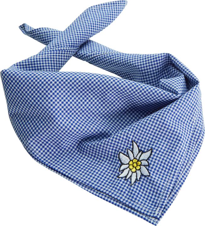 Produktbild Dressforfun Trachtentuch Edelweiss