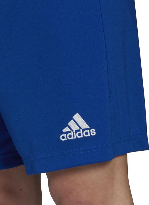 Actual product image adidas Entrada 22 Shorts Men (3XL)