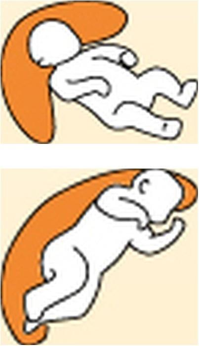 Image du produit Kuli-Muli Lagerungskissen Lyocell