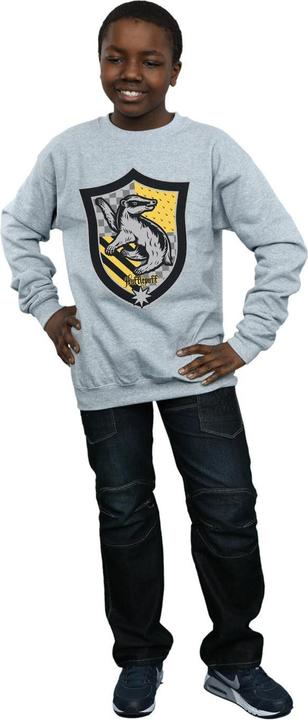 Image du produit - Sweat HUFFLEPUFF CREST FLAT - Garçon (140, 146)