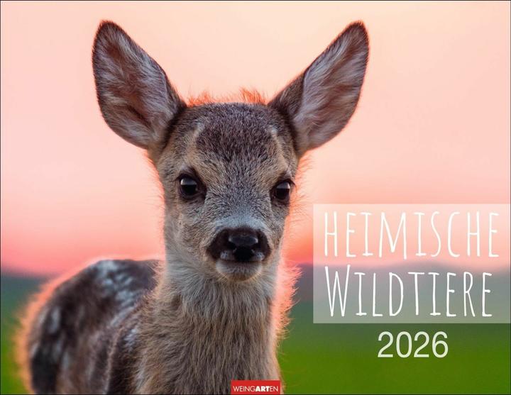 Image du produit Heimische Wildtiere Kalender 2026 (44 x 34 cm, Couverture rigide, Allemand, Anglais)