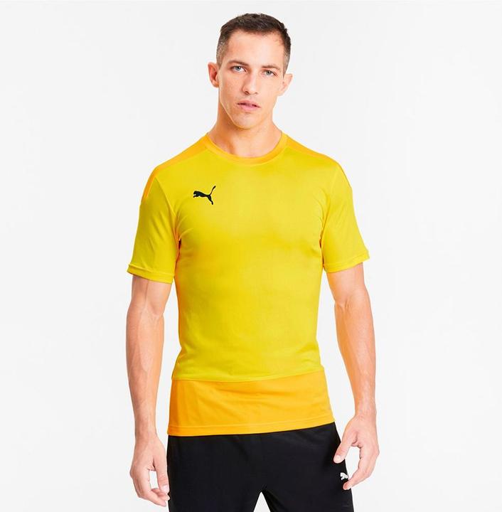 Actual product image Puma teamGOAL 23 Training Jersey-656482 (M)