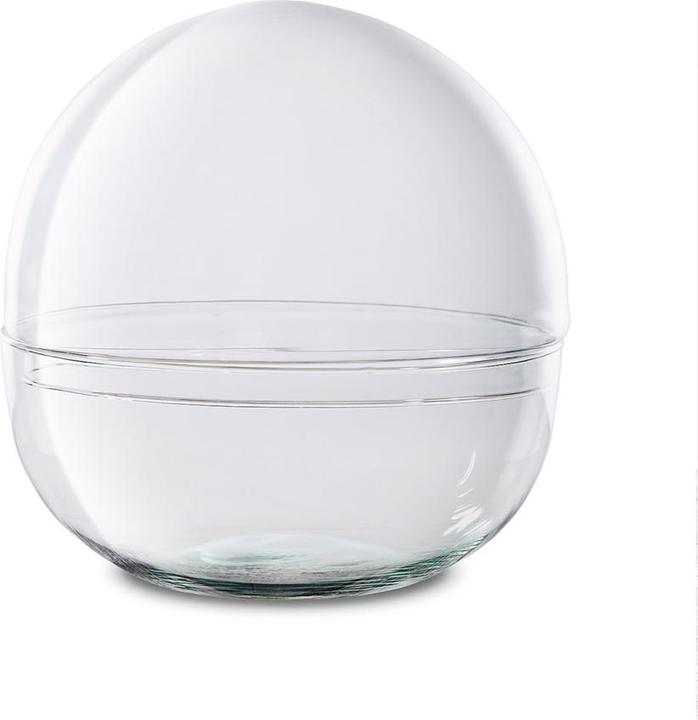 Immagine prodotto Green Bubble Bicchiere vuoto: Biosfera 3 (1 x)