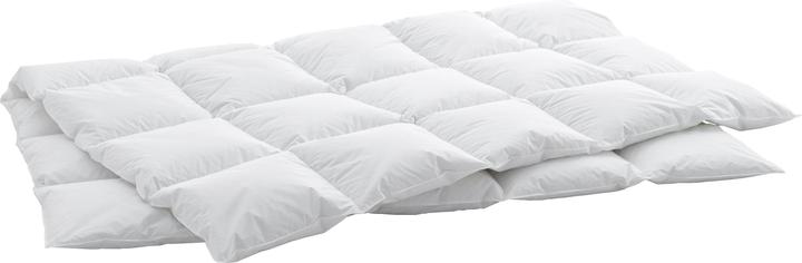 Produktbild Swiss Dream by billerbeck Cassette Cosy Classic 90 (970 g, 160 x 240 cm)