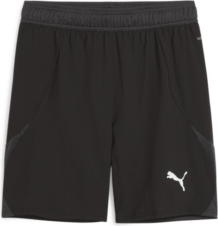 Puma teamFINAL Shorts