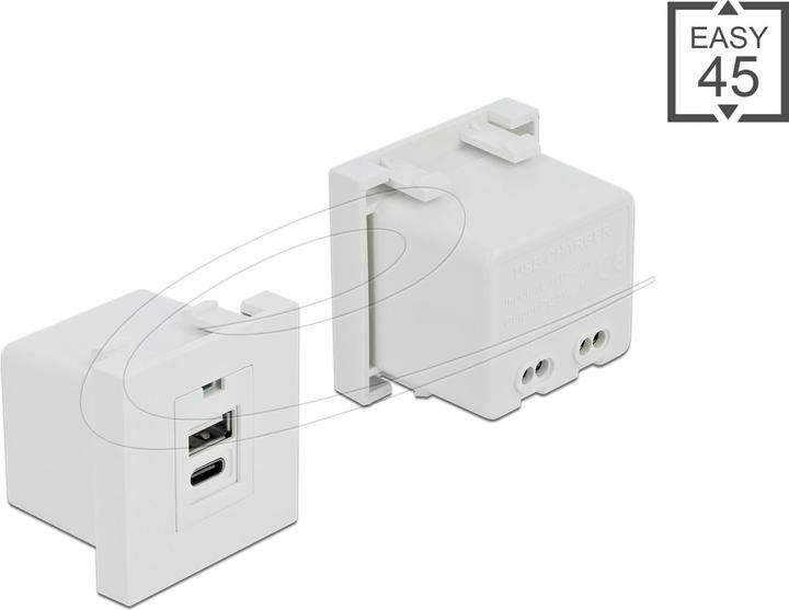 Immagine prodotto Delock Facile 45 Modulo porta di ricarica USB 1 x USB Tipo-A + 1 x USB Tipo-C (0.05 m)