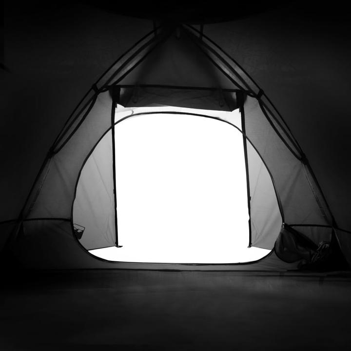 Actual product image VidaXL Jérémy (Dome tent, 3 kg, 2 persons)