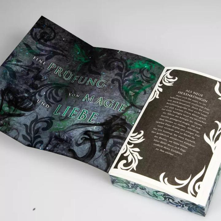 Image du produit Rise of the Witch Queen (La montée de la sorcière). La magie volée (Verena Bachmann, Allemand)