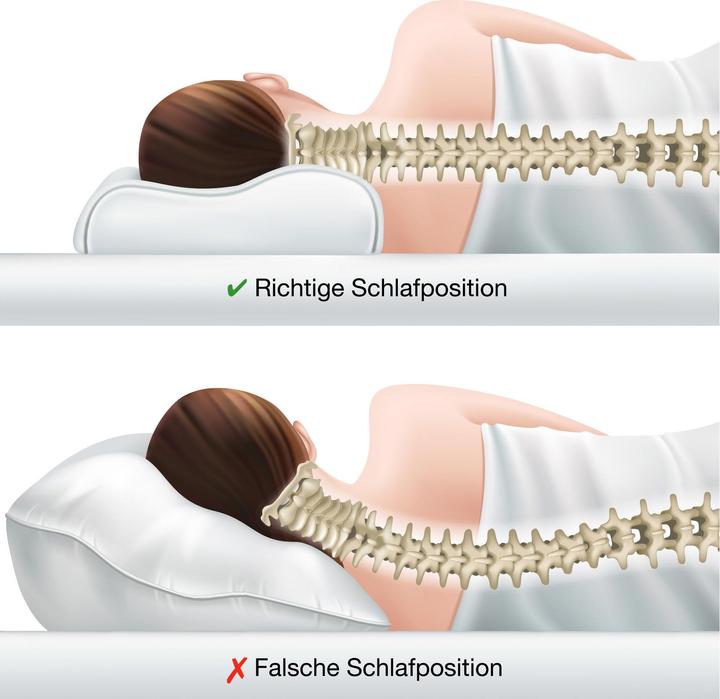 Actual product image Erwin Müller Nackenstützkissen (33 x 58 x 10 cm)