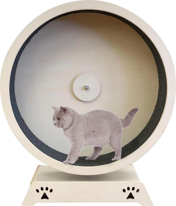 Katzenrad Rondulo 100 mit Stand