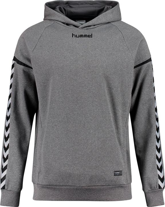 Actual product image hummel Authentic Charge Poly Hoodie (116)