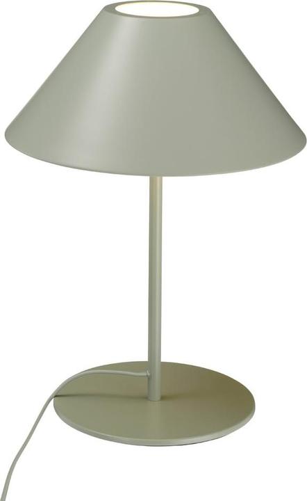 vert gris
