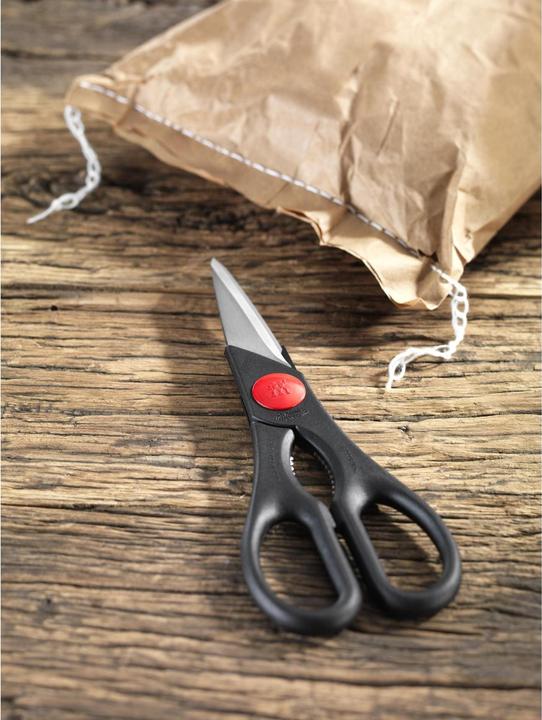 Actual product image Zwilling Multipurpose scissors Twin (20 cm)
