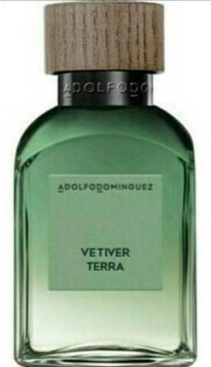 Produktbild Elizabeth Arden Adolfo Dominguez - Agua Fresca Vetiver Terra EDP (Eau de Parfum, 120 ml)