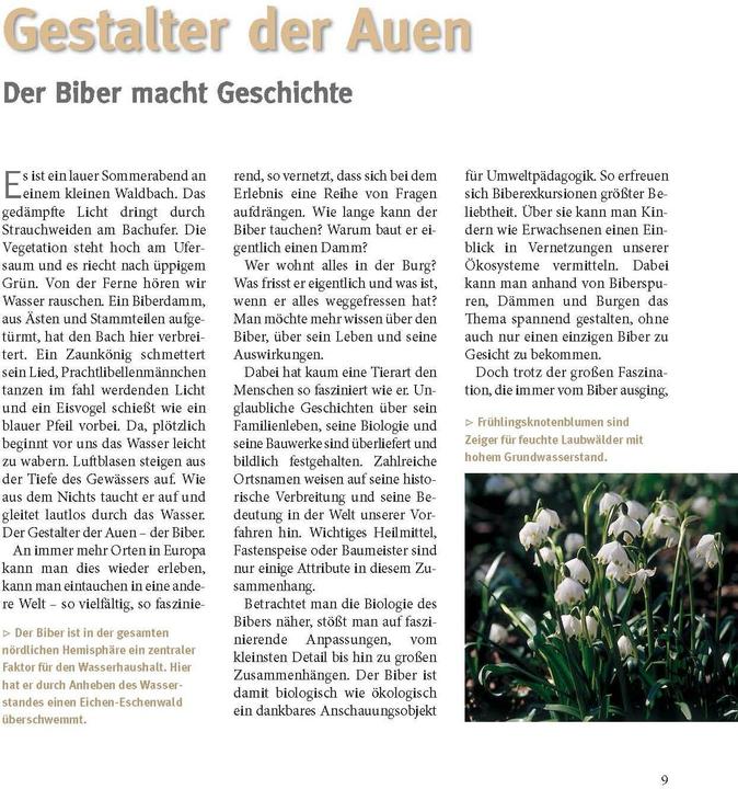 Immagine prodotto Der Biber (Tedesco, Volker Zahner, Christof Angst, Gerhard Schwab, Markus Schmidbauer, 2021)