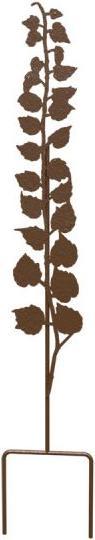 Panacea Ivy (80 cm, 15 cm)