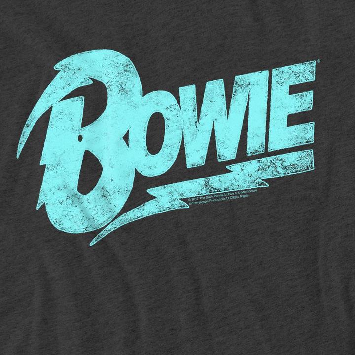 Actual product image David Bowie Unisex Adult Logo T-Shirt (L)