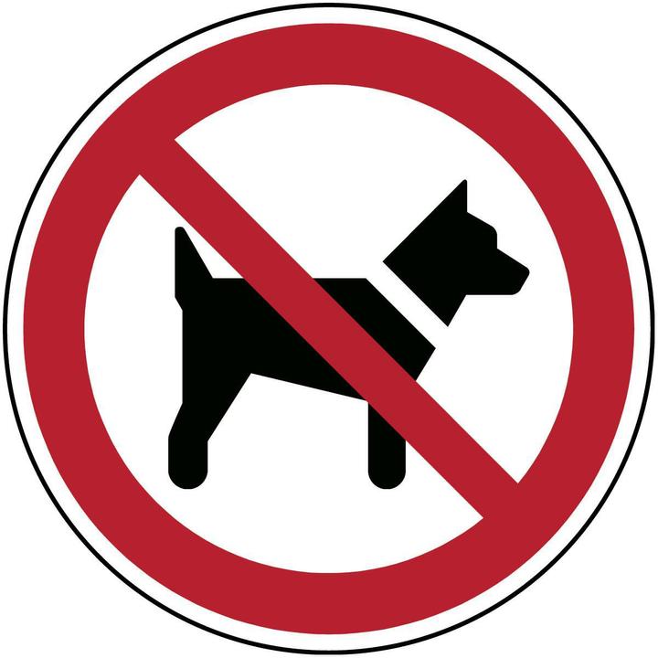 Immagine prodotto Brady Cartello di sicurezza ISO - Vietato l'accesso ai cani