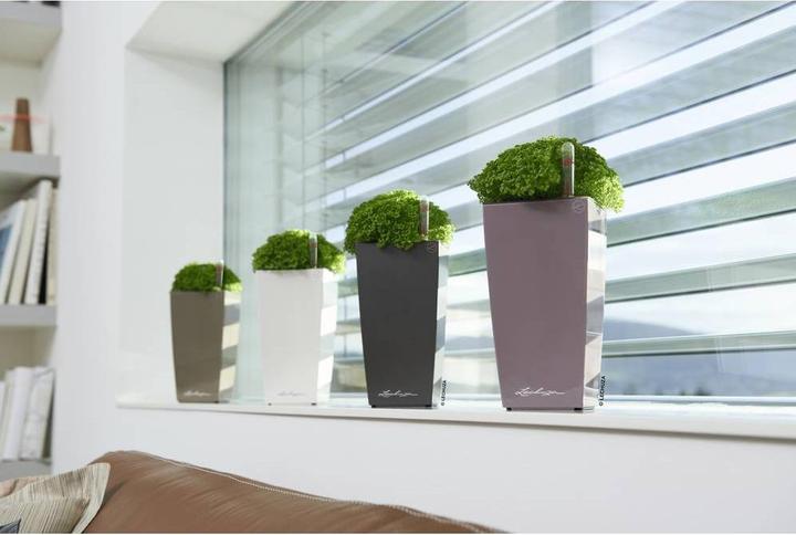 Actual product image Lechuza Mini Cubi (9.50 cm)