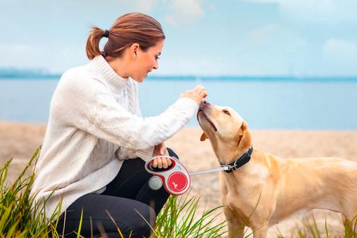 Produktbild Flexi New Comfort Gurt (S, Hund, Spazieren)