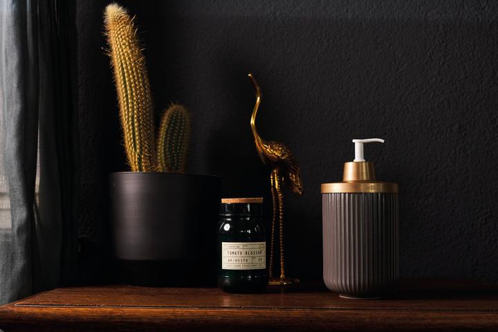 Immagine prodotto Sterillium Protect & Care Emma