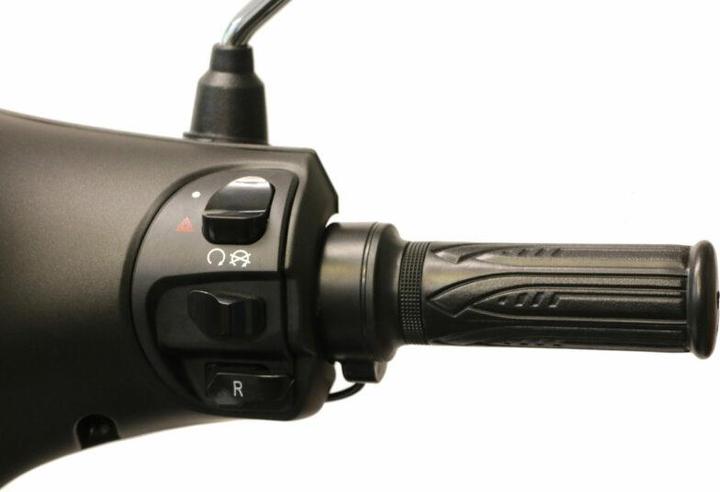 Immagine prodotto ecoro Syra 45 (45 km/h, 3000 W)