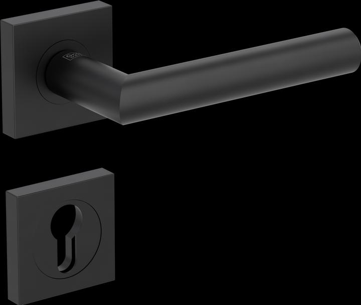 Actual product image Griffwerk Türdrücker-Grt.PZ Lucia Prof. quad. schw (Door handle)