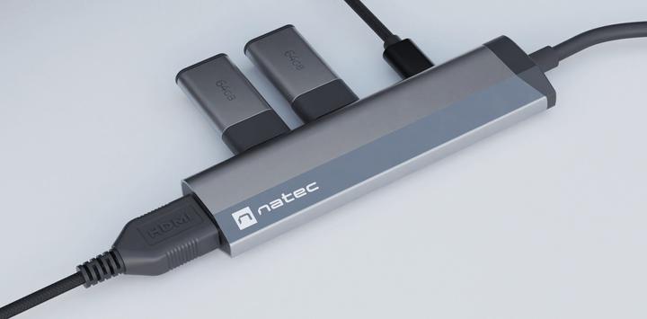 Produktbild Genesis NATEC Multiport Fowler Slim USB-C (USB-C, 2 Ports)