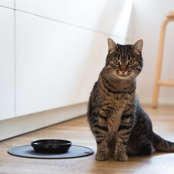 Produktbild LucyBalu BOWL Porzellan Katzennapf