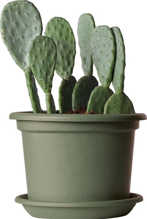 Produktbild Euro 3 plast Kübel Greener GUYA 40 cm, grün (40 cm)