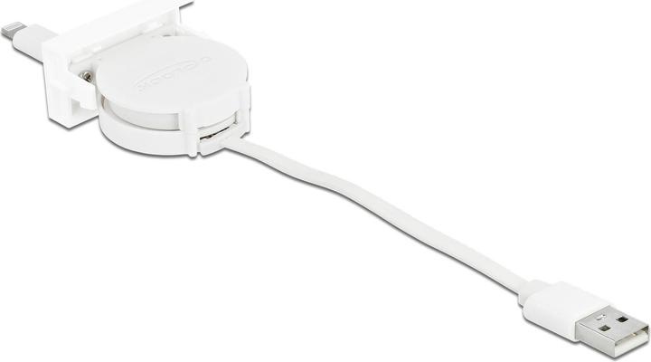 Actual product image Delock USB A - USB A (0.62 m, USB 2.0)