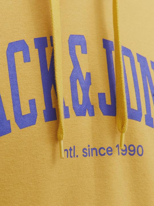 Image du produit Jack & Jones Sweat à capuche (M)
