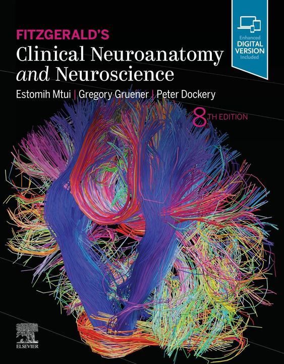 Produktbild Fitzgerald's Clinical Neuroanatomy and Neuroscience (Englisch, Mtui Estomih, E. Mtui, Dockery Peter, P. Dockery, Gruener Gregory, G. Gruener, 2020)