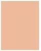 Produktbild Bourjois Healthy Mix Serum Clean & Vegan Roll-on Concealer (52 Beige)