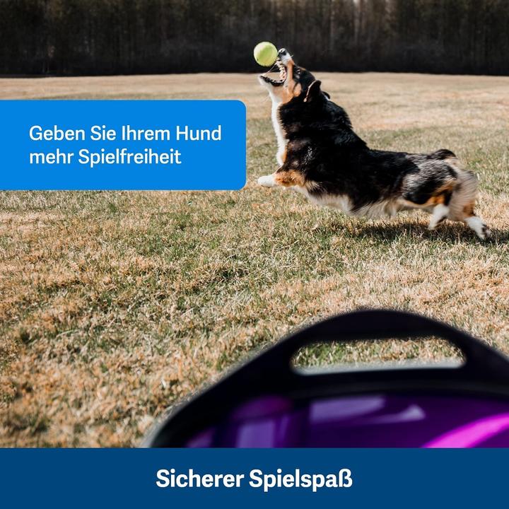 Image du produit PetSafe Lanceur de balles (Jouet à balle chien)