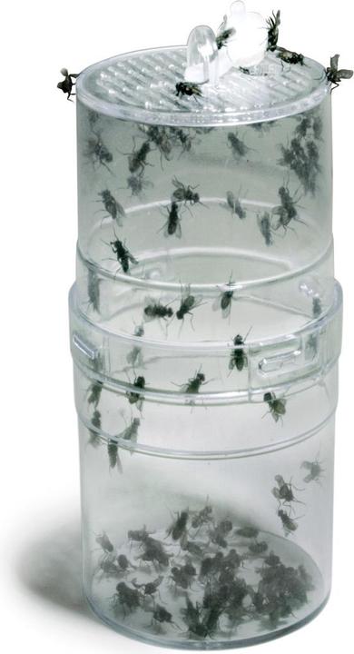 Actual product image Lucky Reptile Fly Feeder
