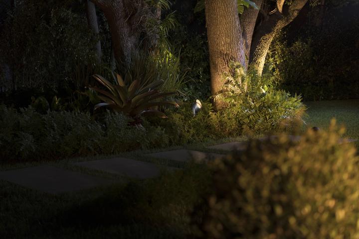 Actual product image Philips Hue Lily XL (1050 lm, IP65)