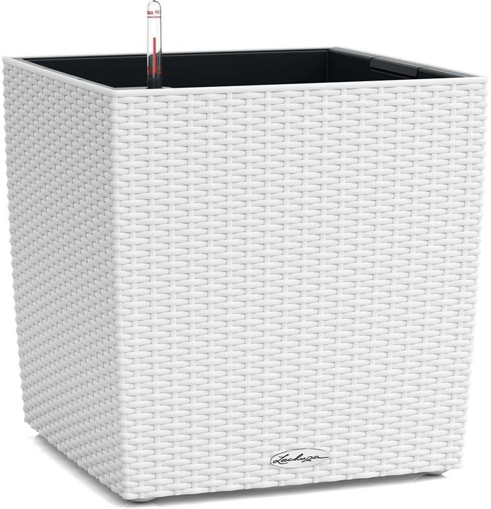 Lechuza Cube Cottage 30 (29 cm)