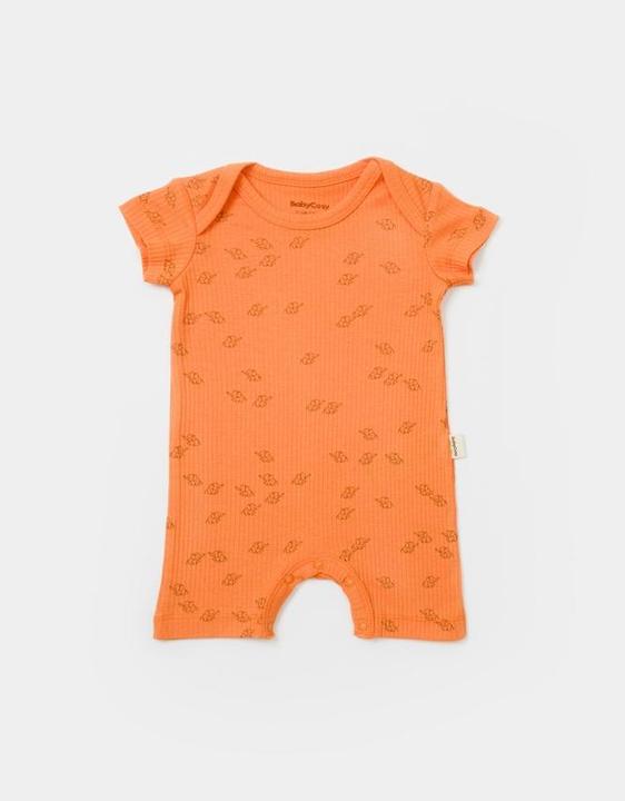 Immagine prodotto BabyCosy Romper corto. manica corta. 2 Confezioni (62)
