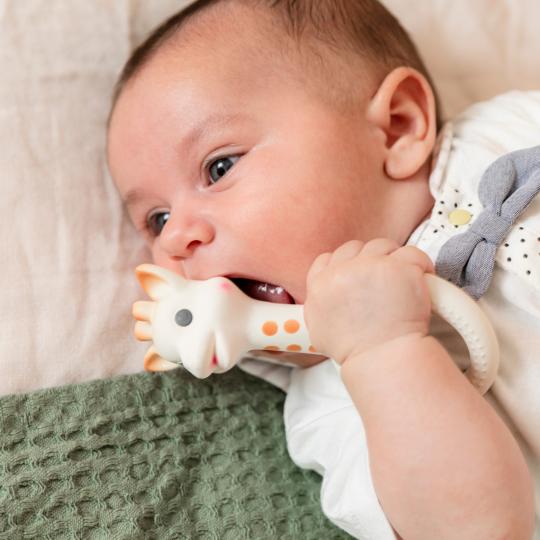 Actual product image Vulli Sophie la girafe teething ring