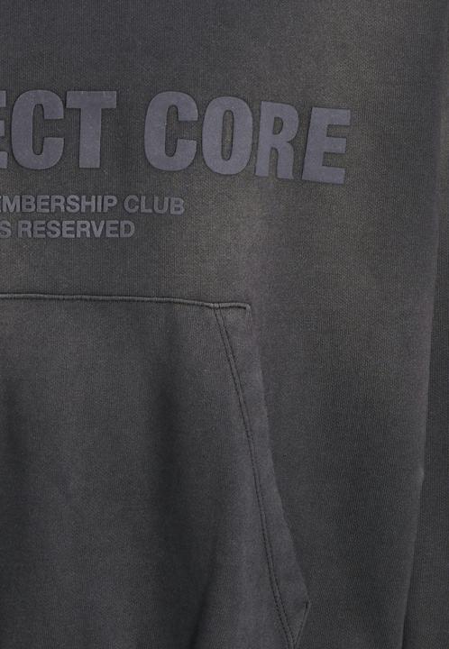 Produktbild Jack & Jones Jcoreflex Washed Sweat Hood Styd Aw24 (L)