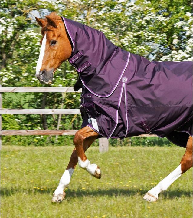 Produktbild Premier Equine Buster 70 g (175 cm)