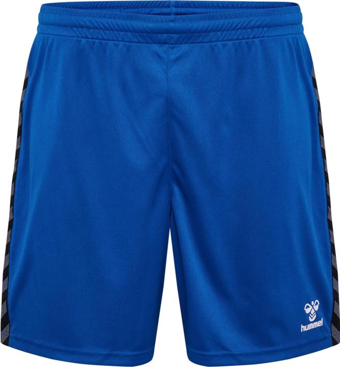 Actual product image hummel Hmlauthentic Pl Shorts (L)