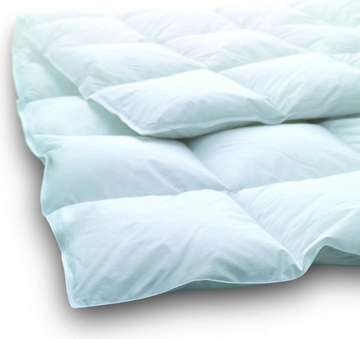 Dauny White Clima Light (450 g, 160 x 210 cm)