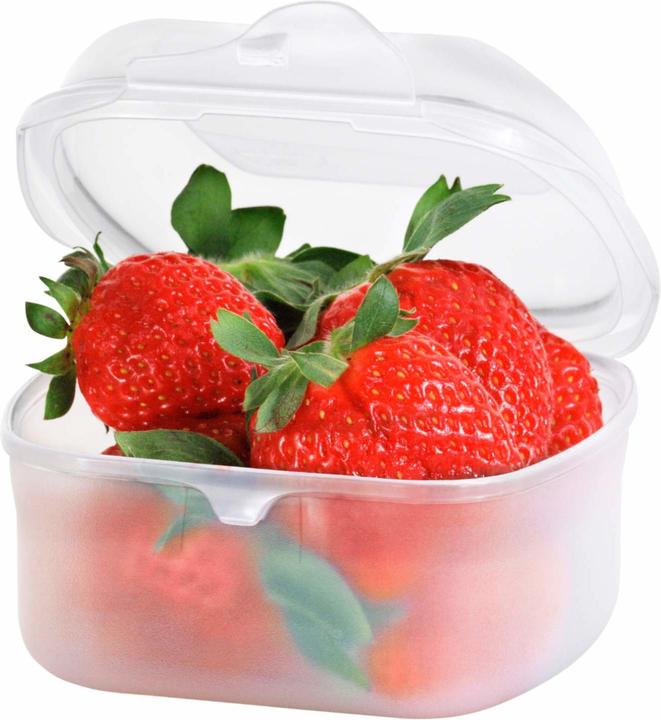 Image du produit Rotho FUN Boîte de rangement (0.45 l)