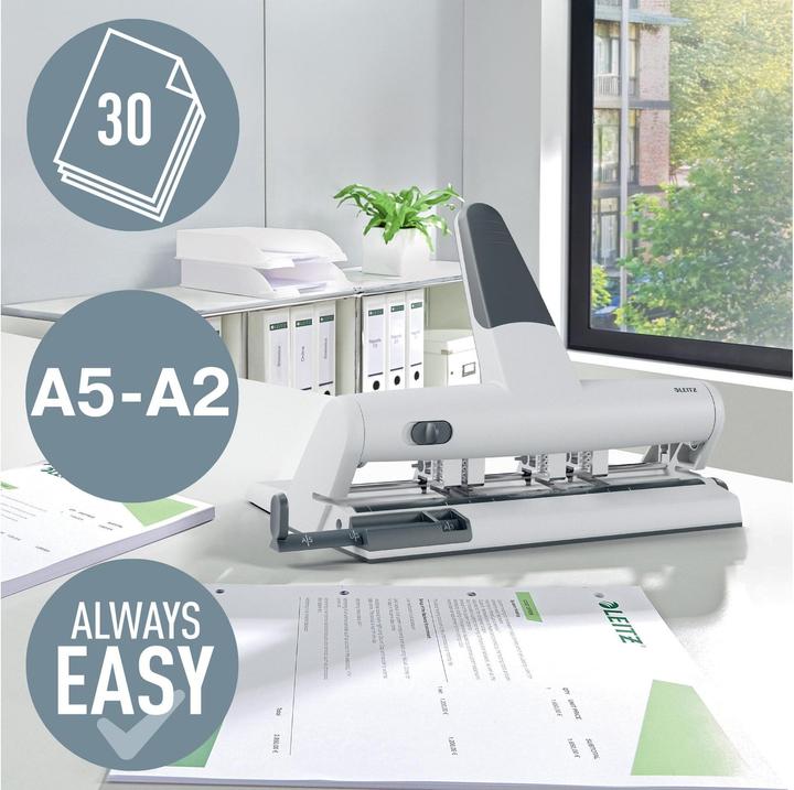 Actual product image Leitz Multi-punch Acto