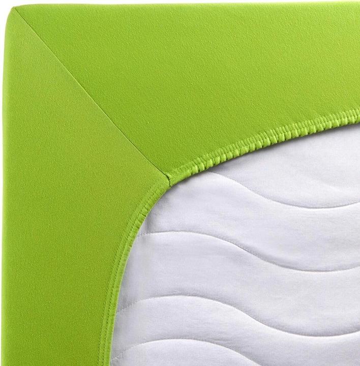 Actual product image Traumschlaf Premium Interlock (140x200 cm, 160x200 cm, 150x200 cm)